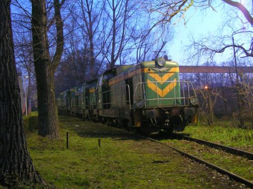 Stonki koło szopy w Krakowie Płaszowie