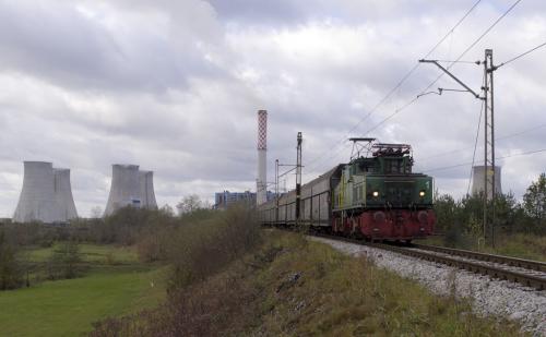 Krokodyl w drodze do Warenki