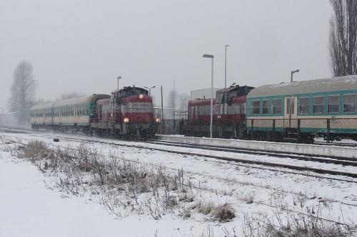 Polsaty innego Solorza...