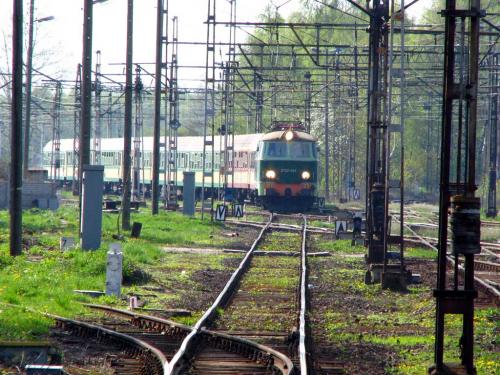 Byk z pospiesznym do Warszawy