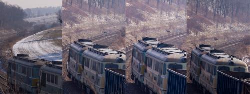 Sarenki skaczą nie tylko przed samochodami...