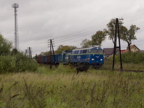 Łysomice, 2010.09.16