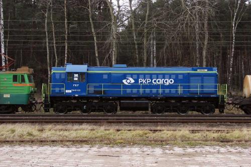 Tamara w nowych barwach Cargo