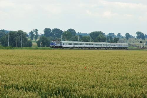 E20 między Kłodawą a Barłogami