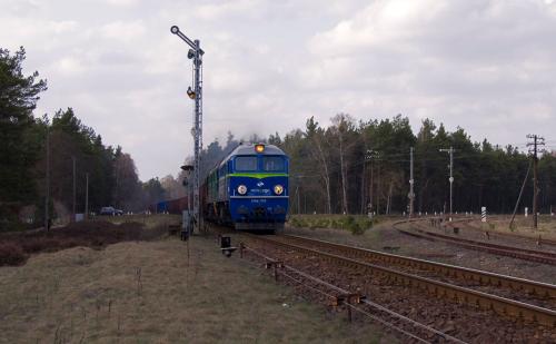 Lipowa Tucholska, 2010.04.17