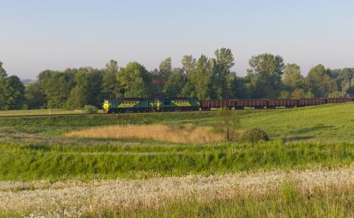 Stawiany, 2011.05.19