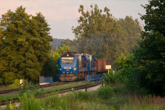 Dwa batmany wieczorową porą