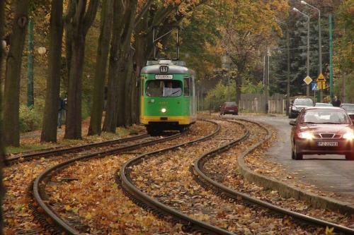 Poznań, Sołacz, 2008.10.18