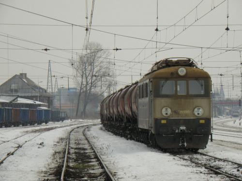 Sputnik odpoczywa w Kutnie