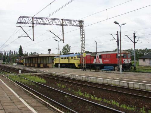 Karsznice, 2008.05.25