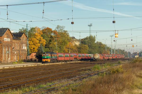 Poranny ruch w Gwizdanowie