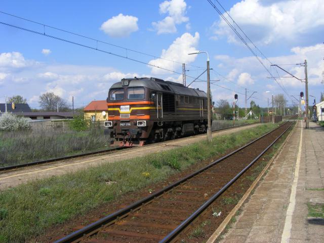 Niby zwyczajny, ale nie zwyczajny gagar