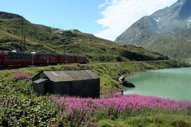 Bernina Express I