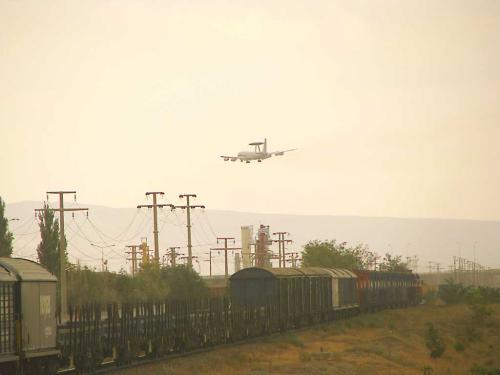 Niecodzienne krzyżowanie