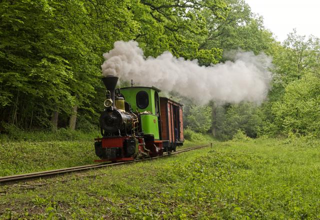 III Zlot Miłośników Kolejek Wąskotorowych 600mm