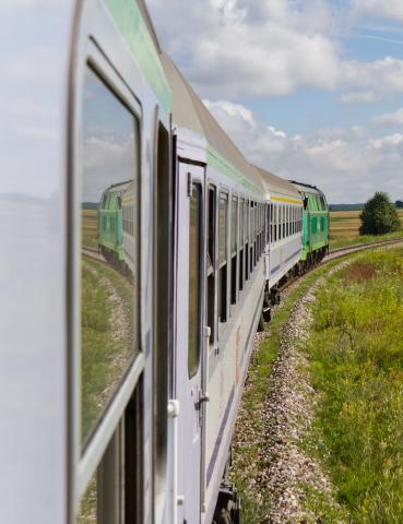 W lewo czy w prawo? Oto jest pytanie